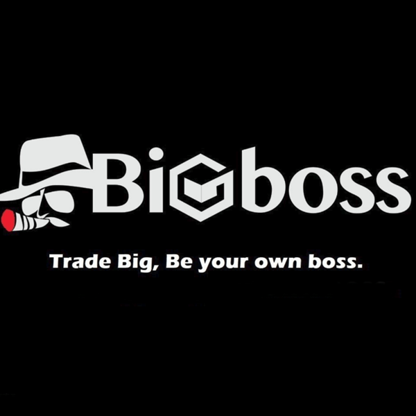 ビッグボス証券会社のロゴ
